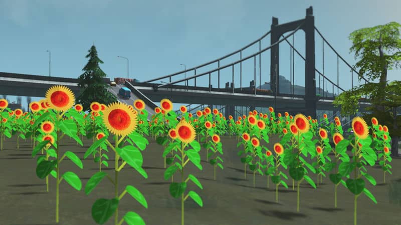 Himawari - The Sunflower - Torrent Download [pack]